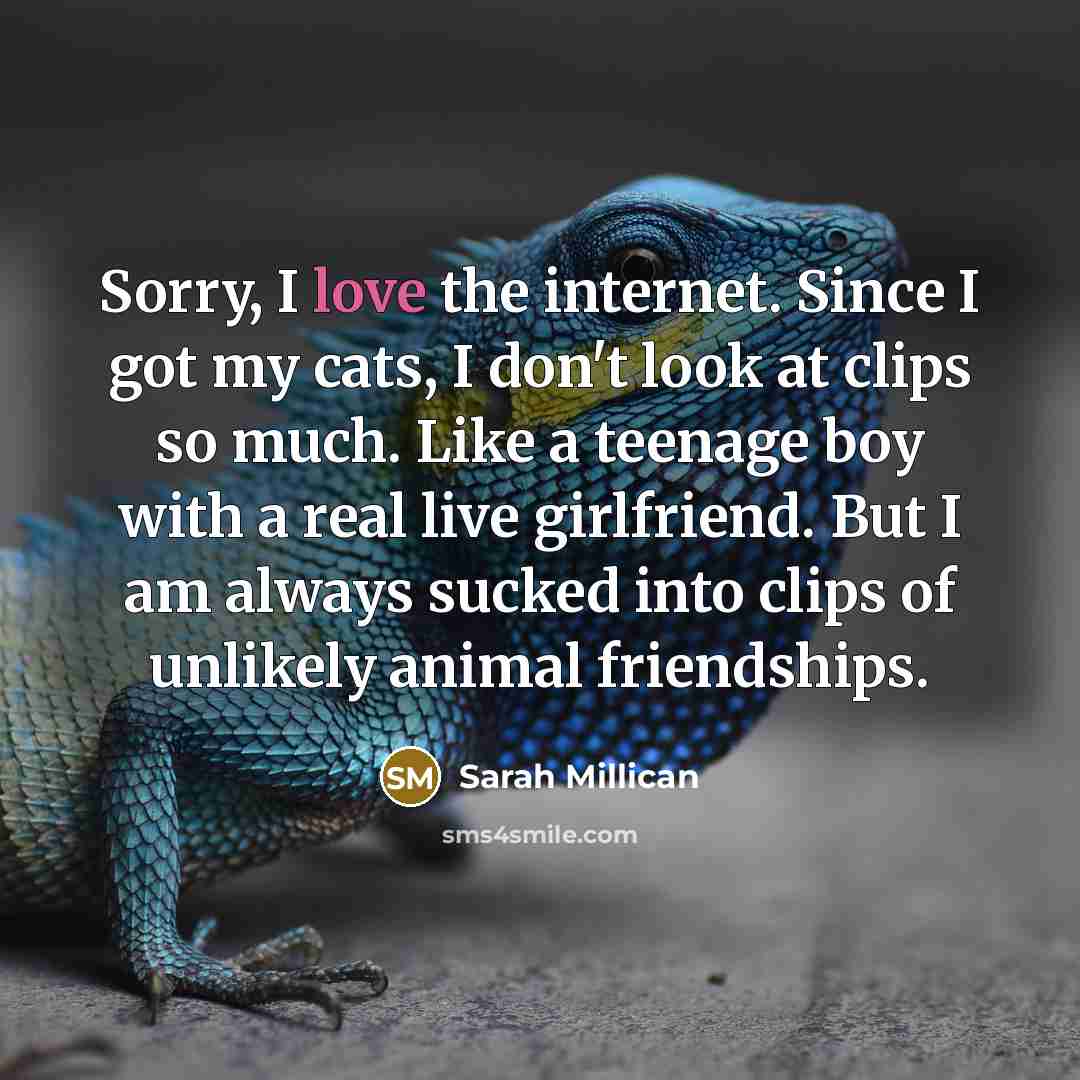 “Sorry, I love the internet. Since I got my cats,…” quote by Sarah Millican