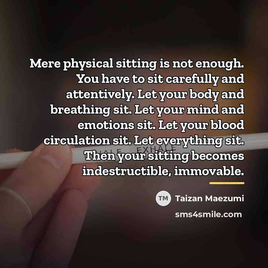 “Mere physical sitting is not enough. You have to sit…” quote by Taizan Maezumi