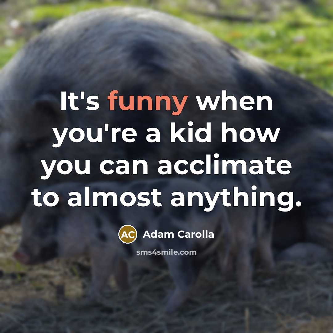 “It's funny when you're a kid how you can acclimate…” quote by Adam Carolla
