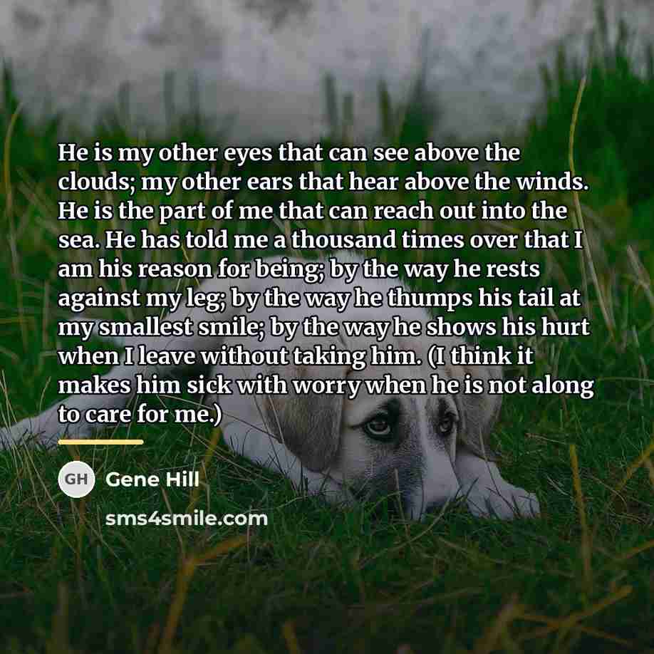 “He is my other eyes that can see above the…” quote by Gene Hill