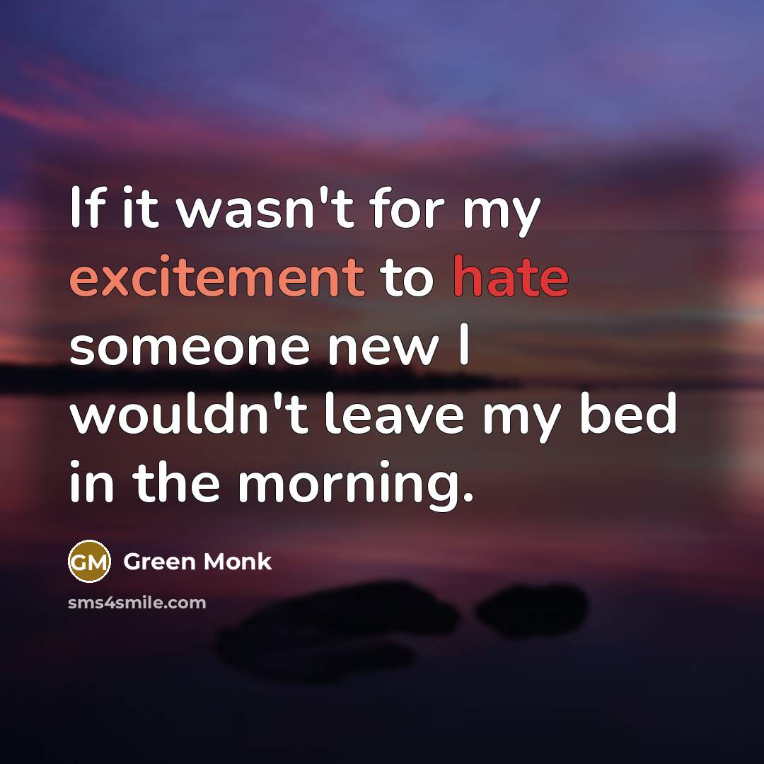 “If it wasn't for my excitement to hate someone new…” quote by Green Monk
