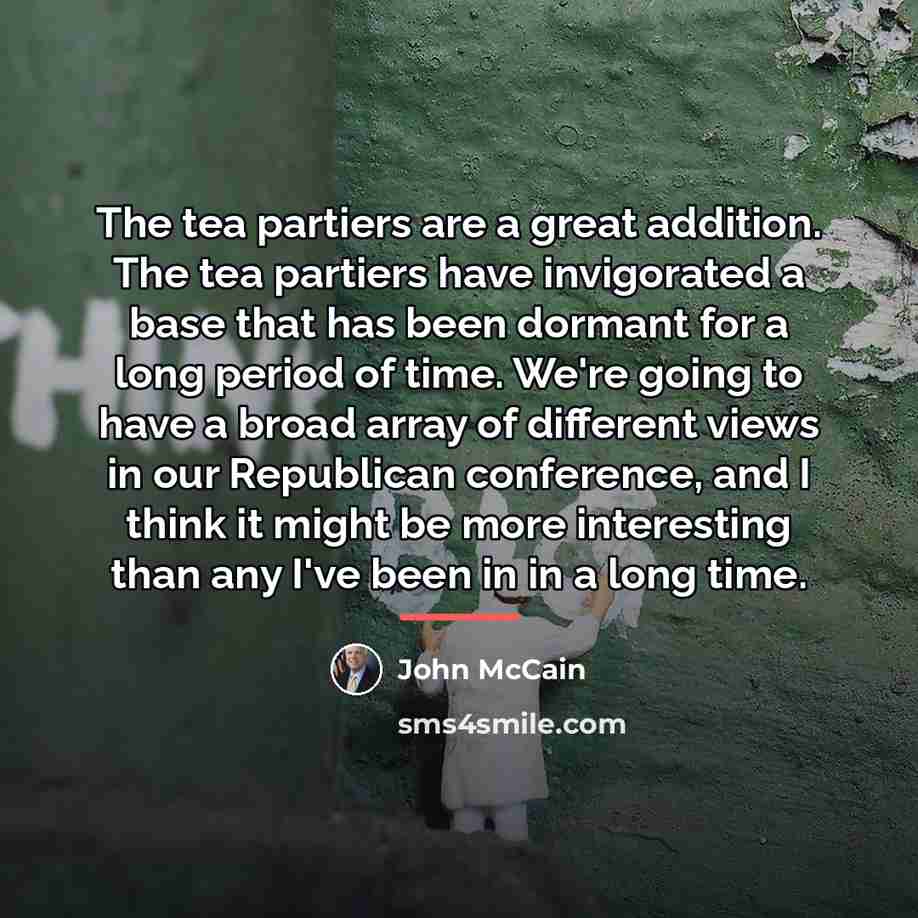 “The tea partiers are a great addition. The tea partiers…” quote by John McCain
