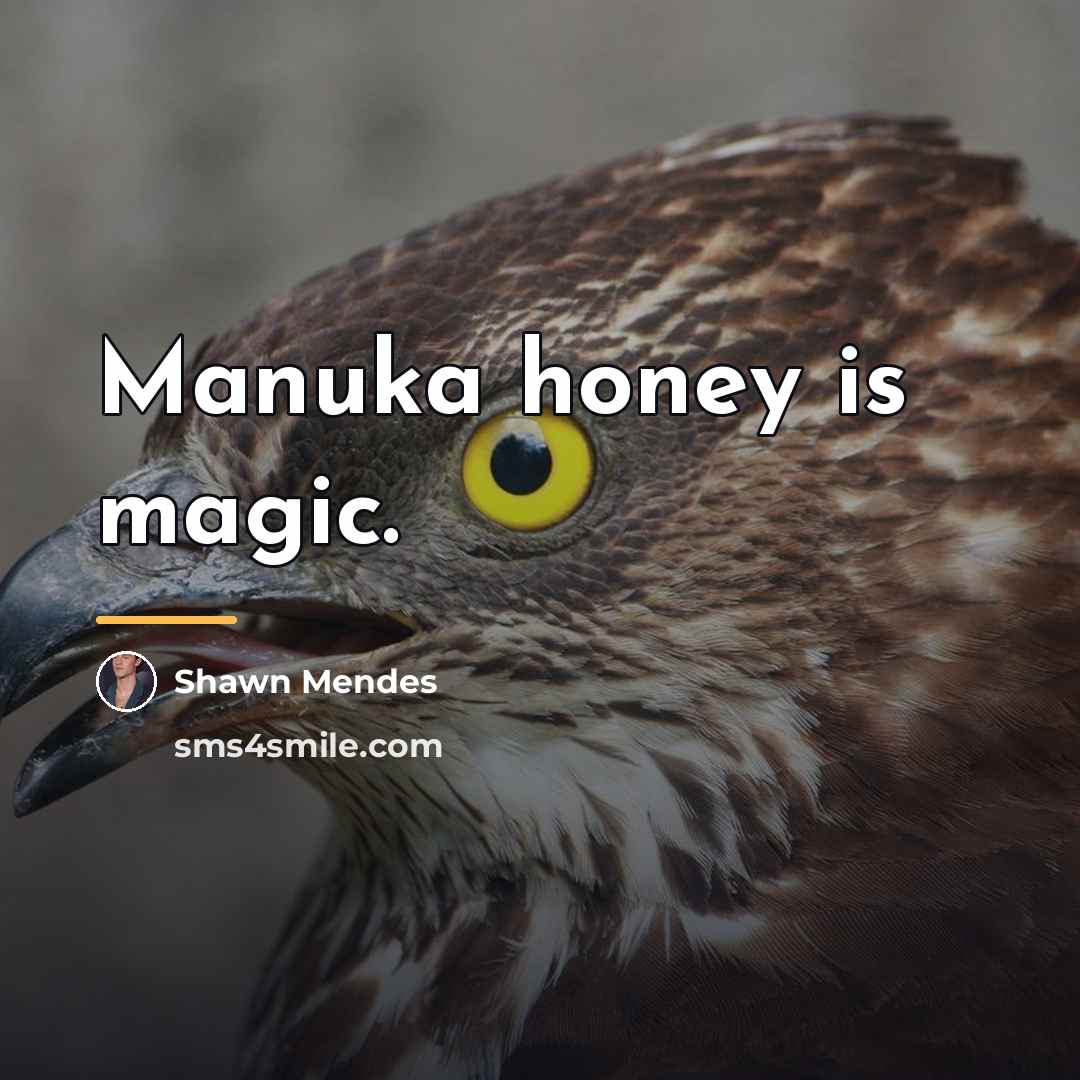 “Manuka honey is magic.…” quote by Shawn Mendes