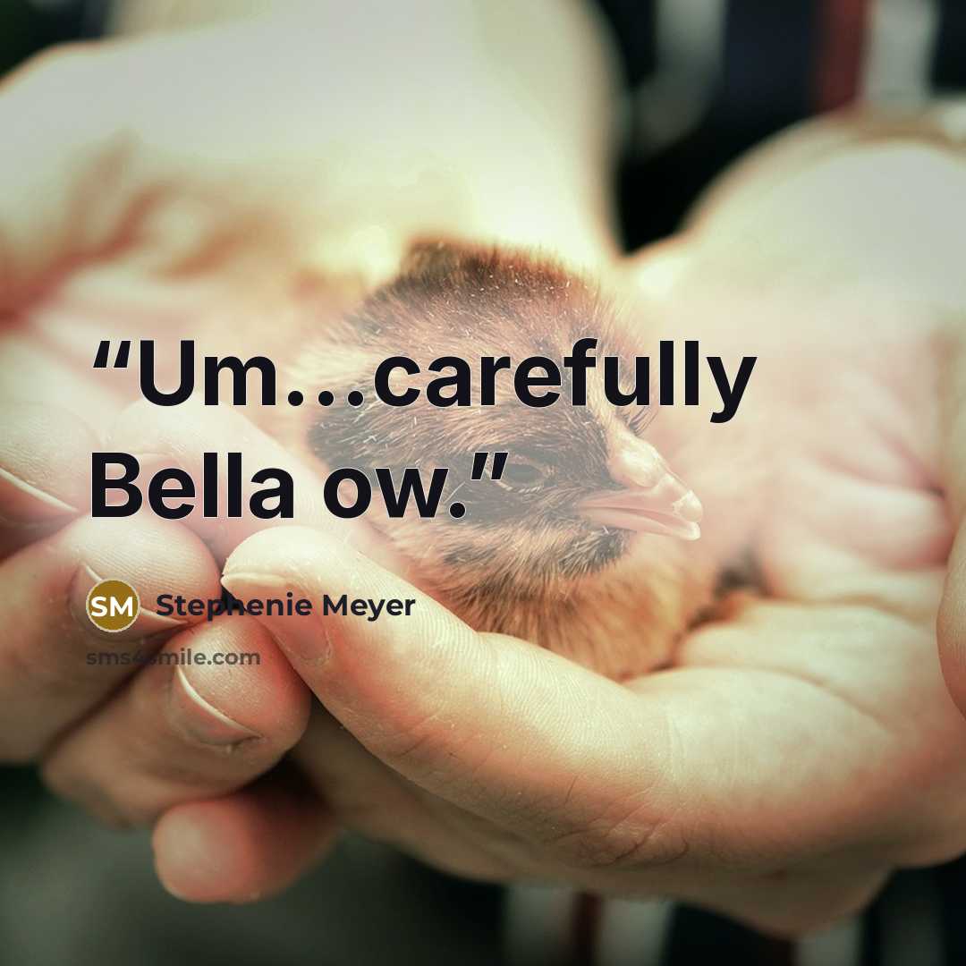 “Um...carefully Bella ow.” quote by Stephenie Meyer