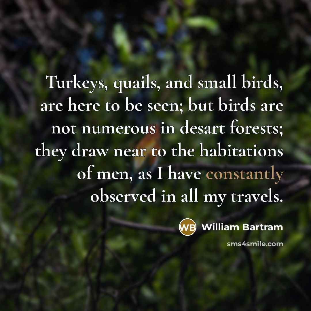 “Turkeys, quails, and small birds, are here to be seen; but birds are not numerous in desart forests; they draw near to the habitations of men, as I have constantly observed in all my travels.” quote by William Bartram