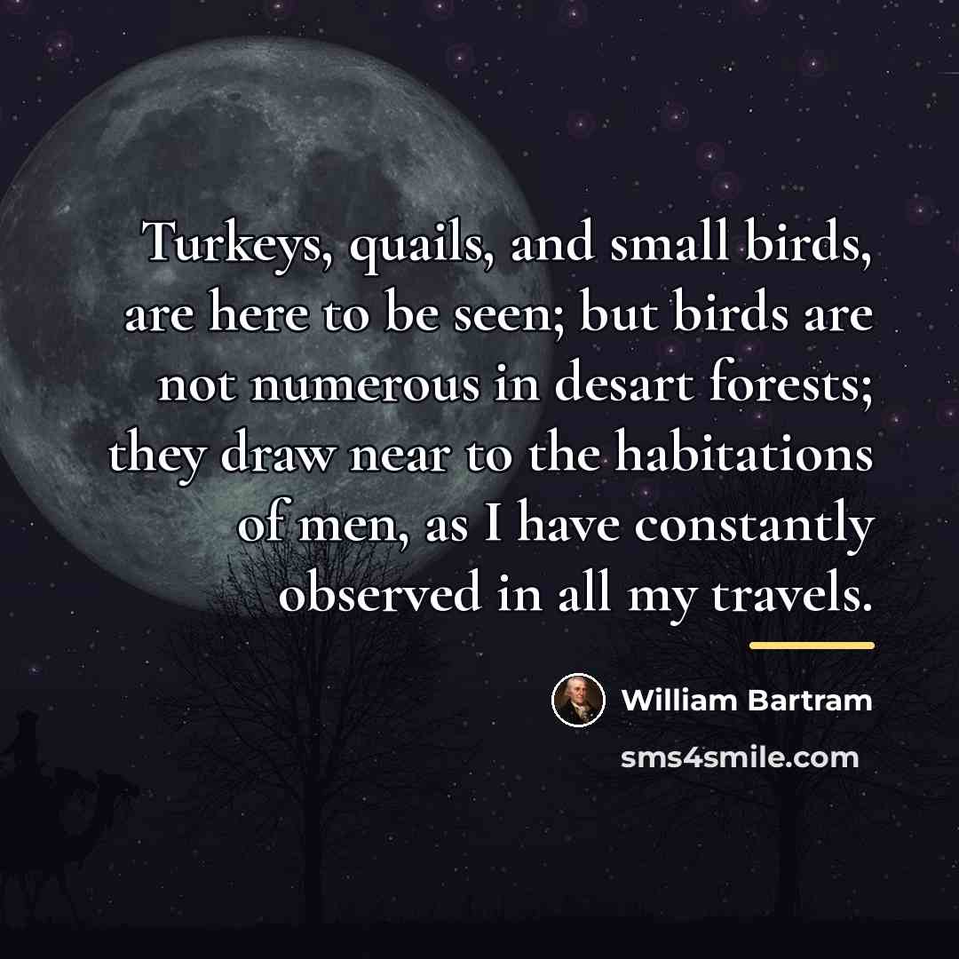 “Turkeys, quails, and small birds, are here to be seen;…” quote by William Bartram