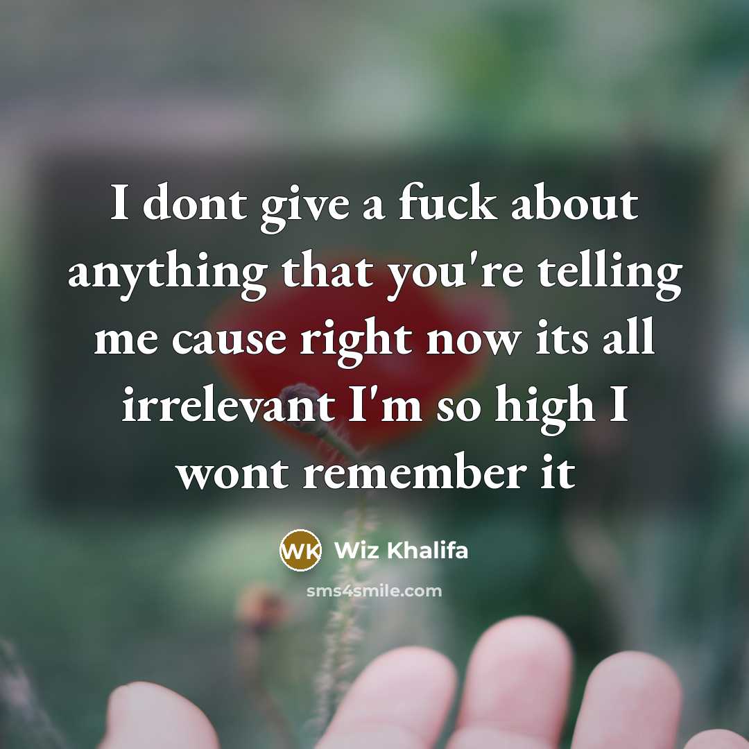 “I dont give a fuck about anything that you're telling…” quote by Wiz Khalifa