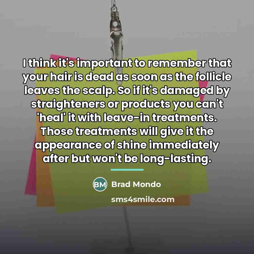 “I think it's important to remember that your hair is…” quote by Brad Mondo