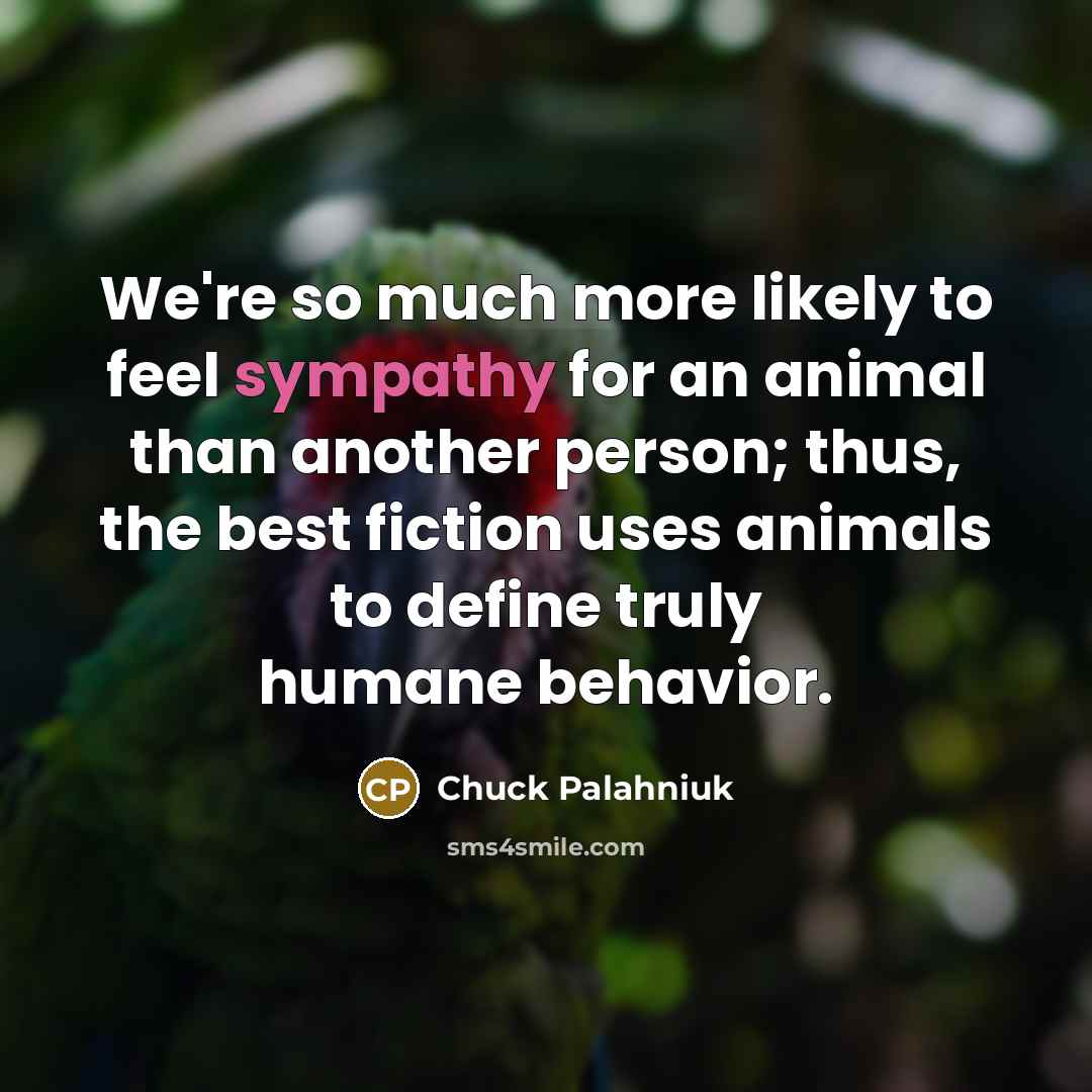 “We're so much more likely to feel sympathy for an…” quote by Chuck Palahniuk