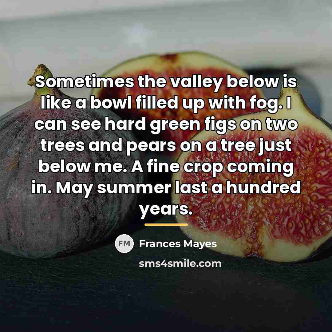 “Sometimes the valley below is like a bowl filled up…” quote by Frances Mayes
