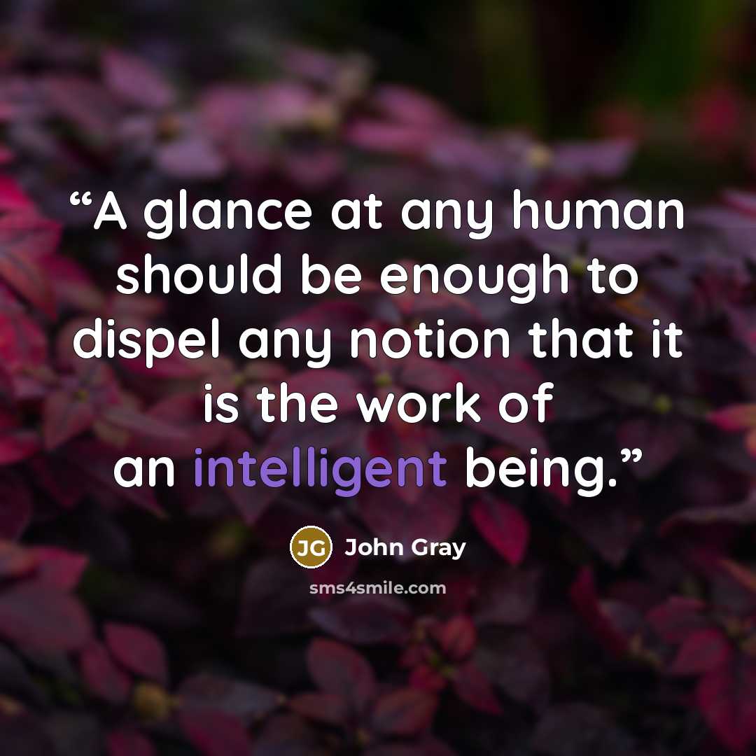 “A glance at any human should be enough to dispel any notion that it is the work of an intelligent being.” quote by John Gray