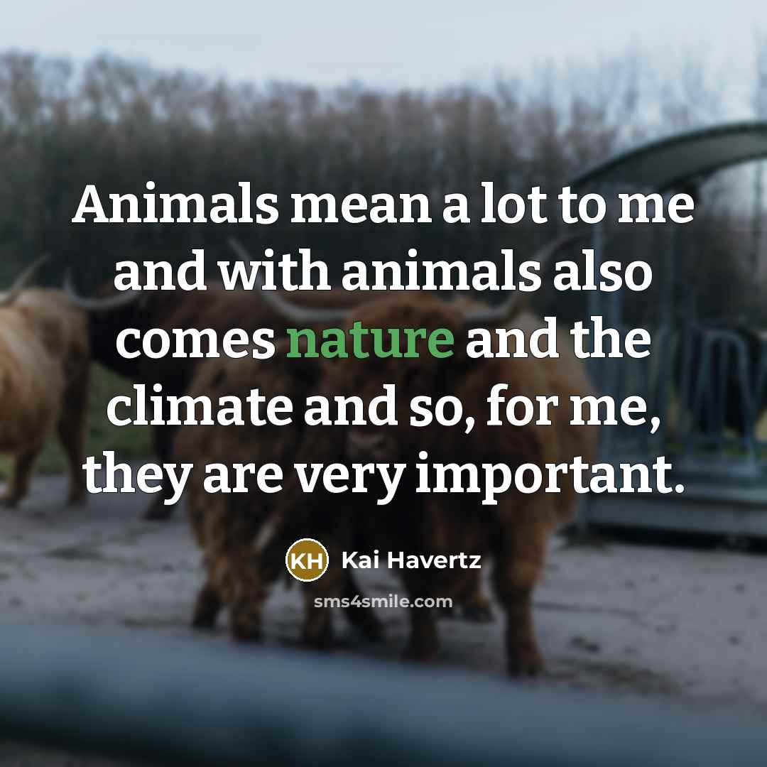 “Animals mean a lot to me and with animals also…” quote by Kai Havertz