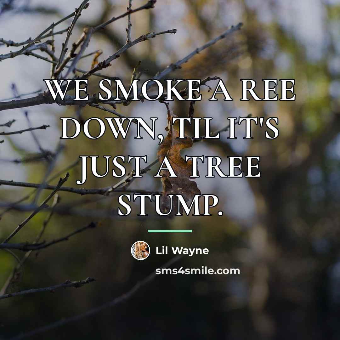 “WE SMOKE A REE DOWN, TIL IT'S JUST A TREE…” quote by LIL WAYNE