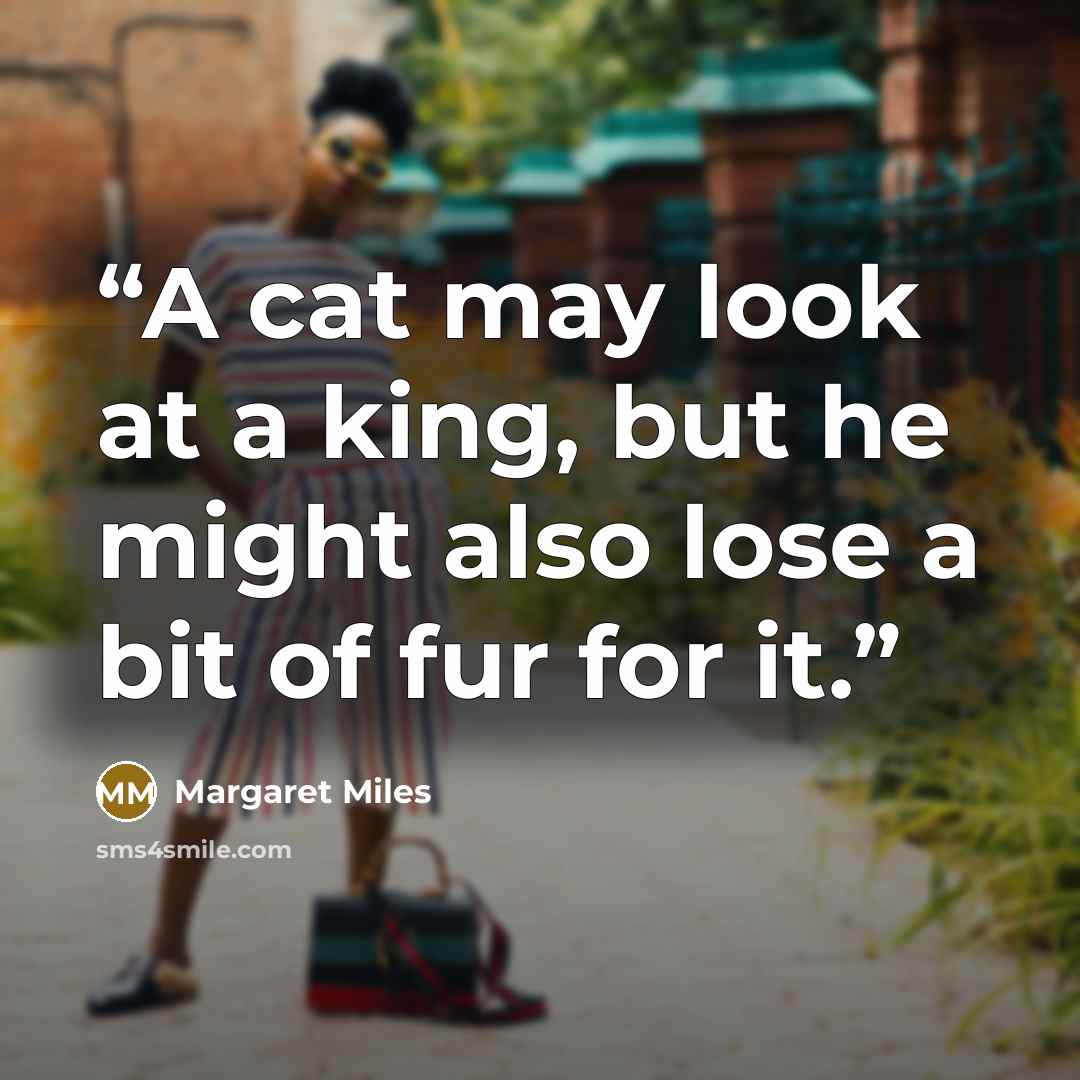 “A cat may look at a king, but he might also lose a bit of fur for it.” quote by Margaret Miles