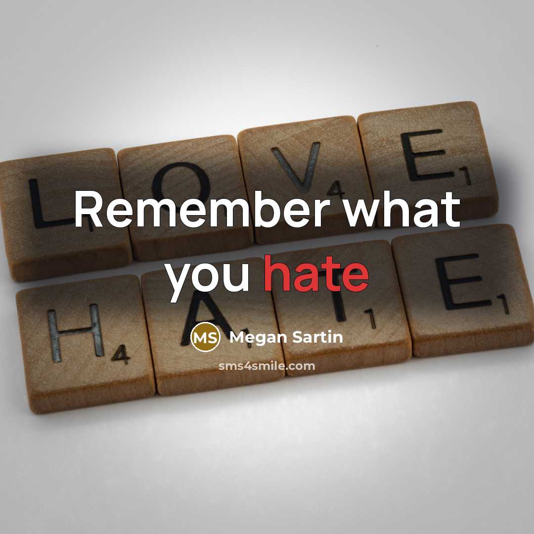 “Remember what you hate…” quote by Megan Sartin