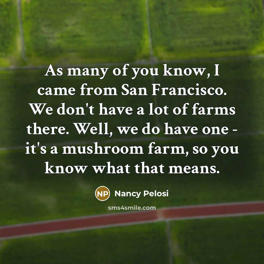“As many of you know, I came from San Francisco.…” quote by Nancy Pelosi