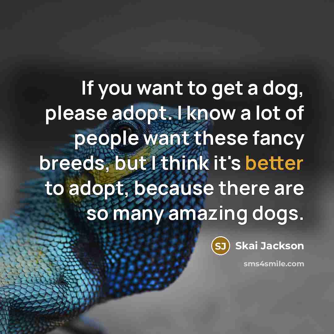 “If you want to get a dog, please adopt. I know a lot of people want these fancy breeds, but I think it's better to adopt, because there are so many amazing dogs.” quote by Skai Jackson