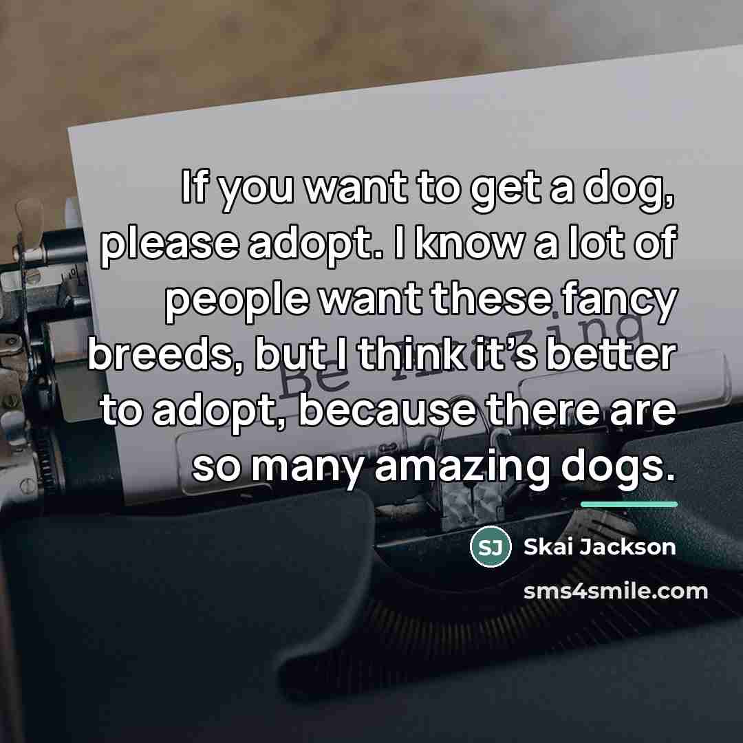 “If you want to get a dog, please adopt. I…” quote by Skai Jackson