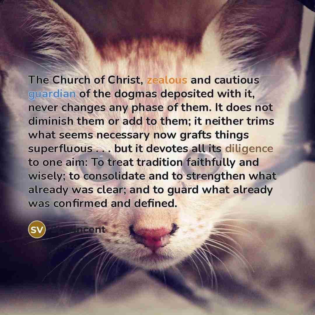 “The Church of Christ, zealous and cautious guardian of the…” quote by St. Vincent
