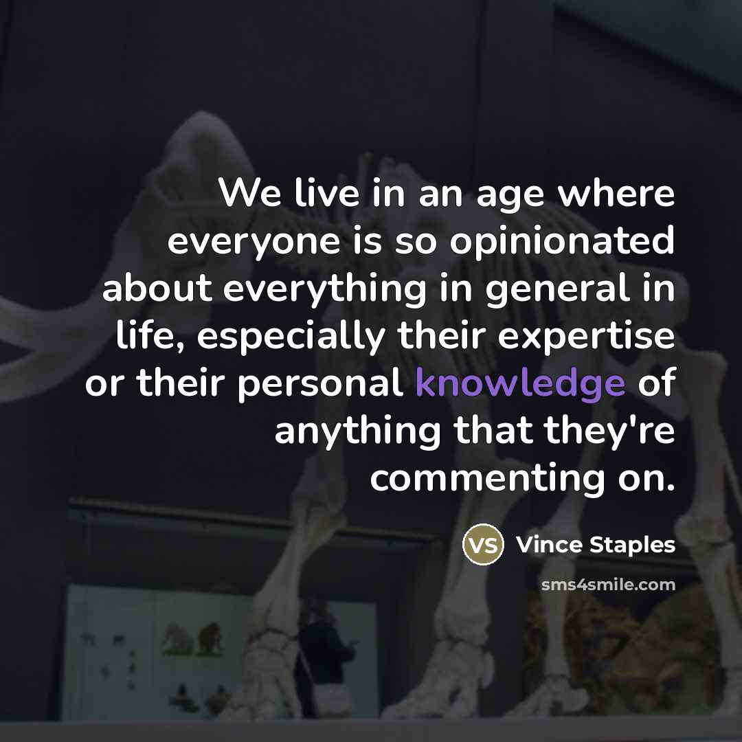 “We live in an age where everyone is so opinionated…” quote by Vince Staples