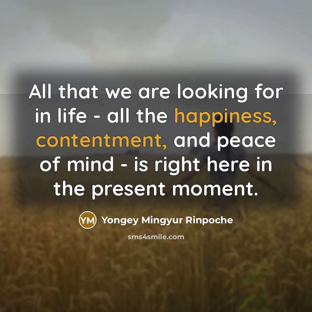 “All that we are looking for in life - all…” quote by Yongey Mingyur Rinpoche
