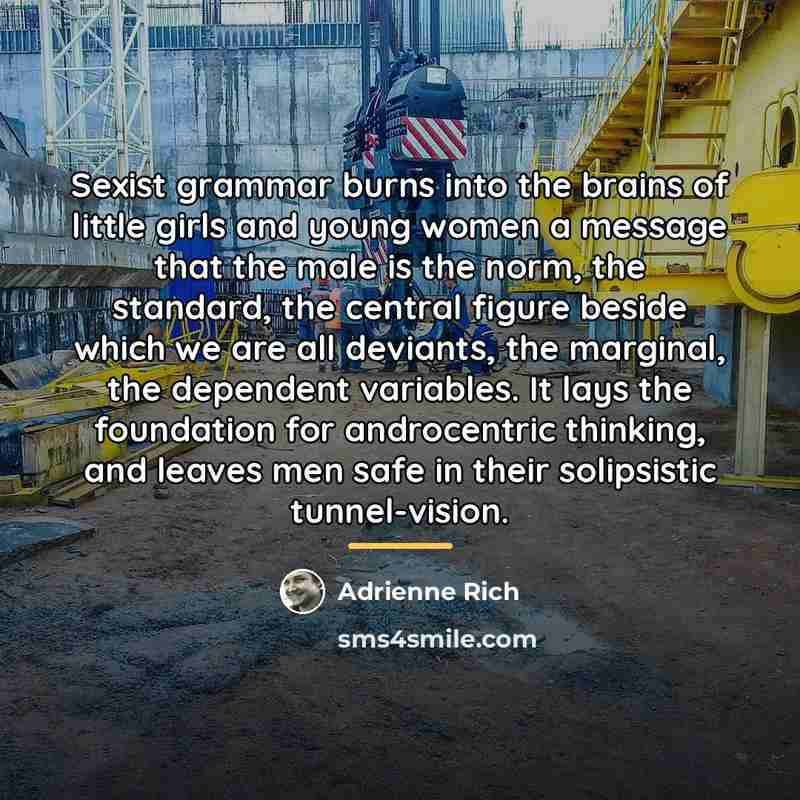 “Sexist grammar burns into the brains of little girls and…” quote by Adrienne Rich