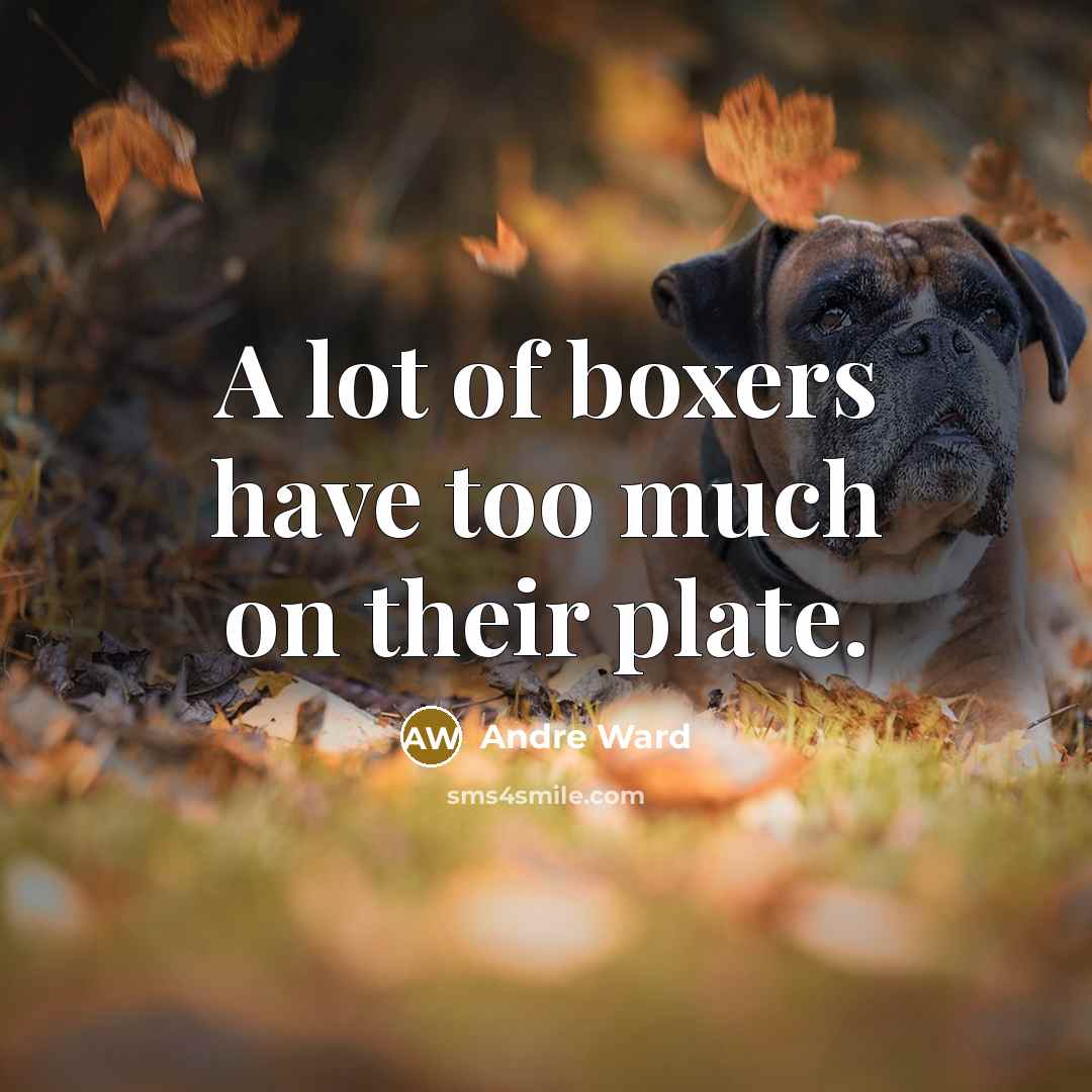 “A lot of boxers have too much on their plate.…” quote by Andre Ward