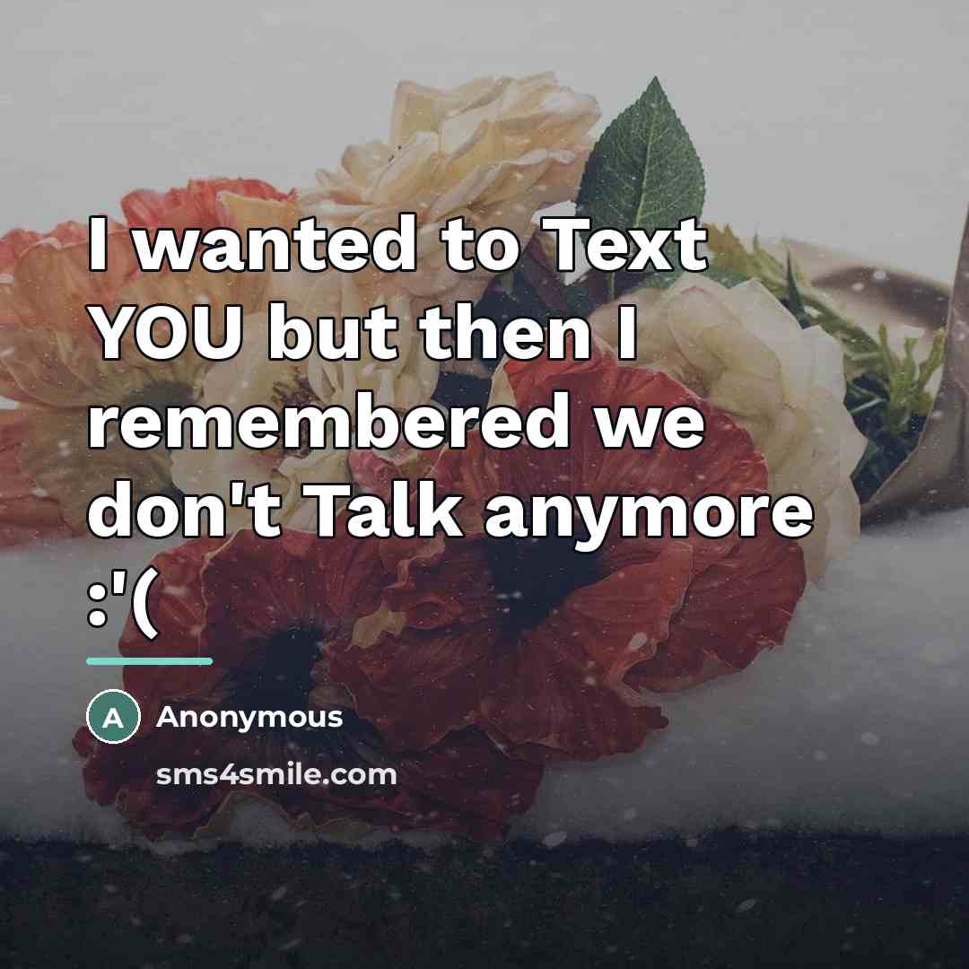 “I wanted to Text YOU but then I remembered we…” quote by Anonymous