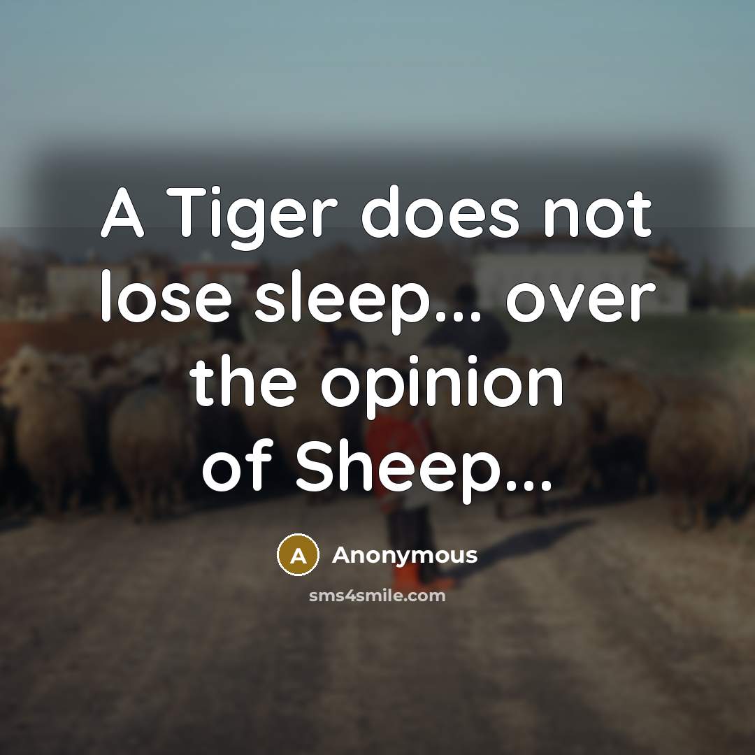 “A Tiger does not lose sleep... over the opinion of…” quote by Anonymous