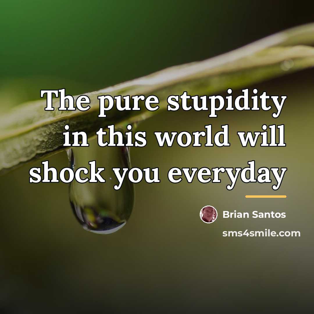 “The pure stupidity in this world will shock you everyday…” quote by Brian Santos