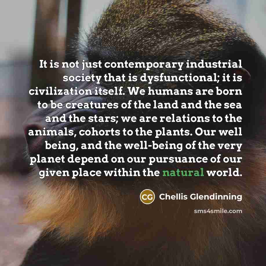 “It is not just contemporary industrial society that is dysfunctional;…” quote by Chellis Glendinning