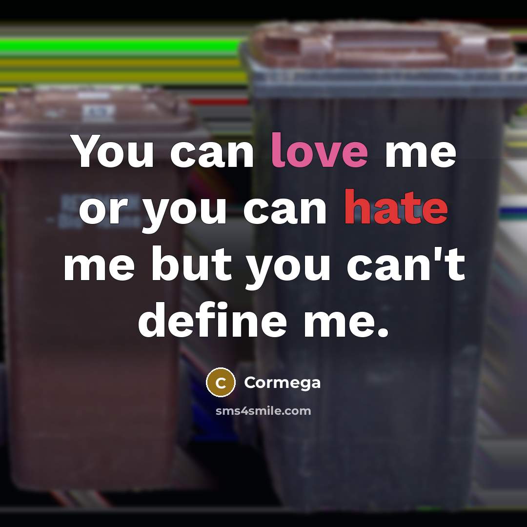 “You can love me or you can hate me but you can't define me.” quote by Cormega