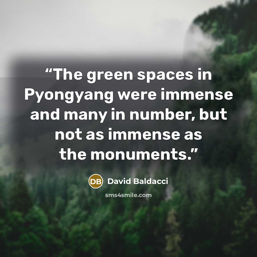 “The green spaces in Pyongyang were immense and many in number, but not as immense as the monuments.” quote by David Baldacci