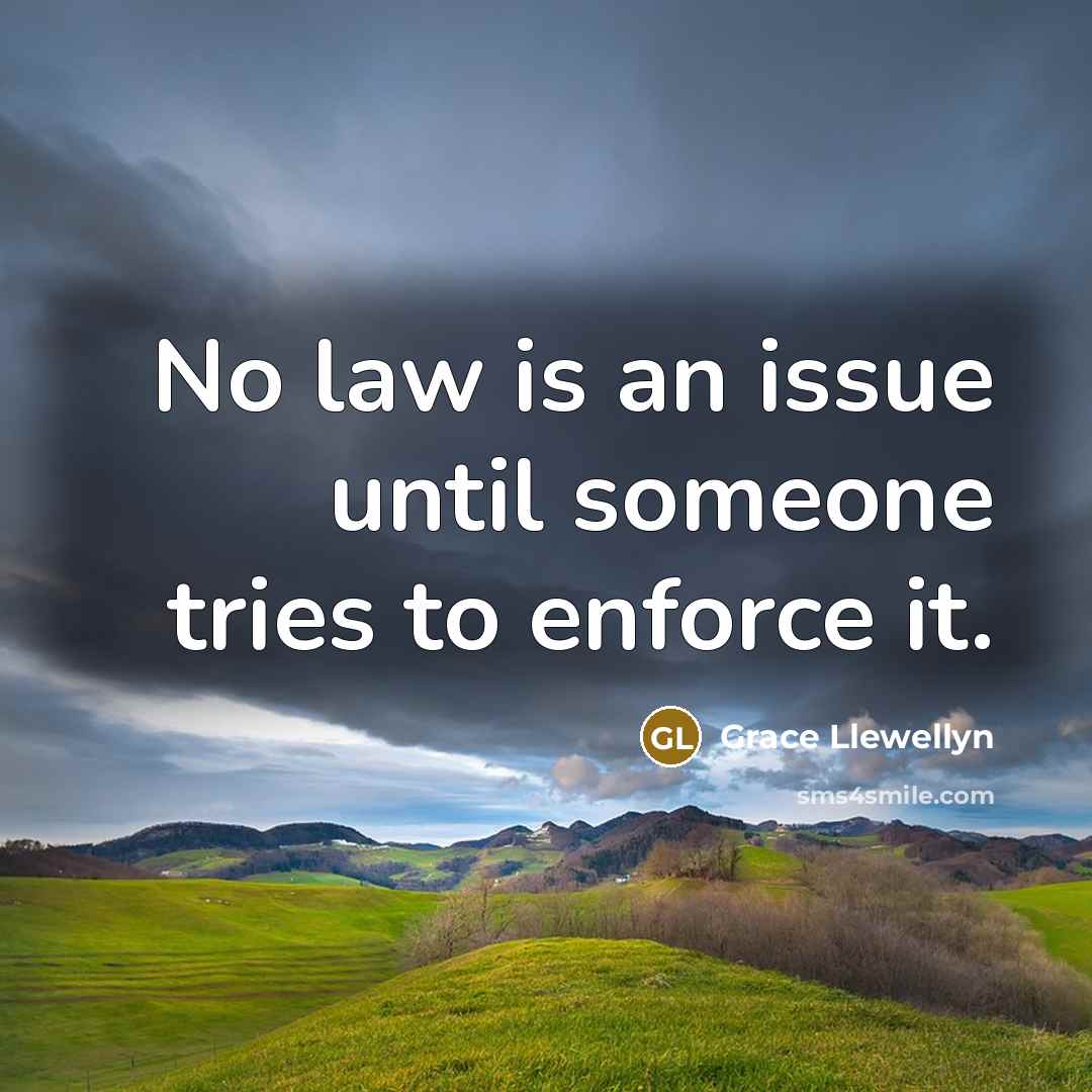 “No law is an issue until someone tries to enforce it.” quote by Grace Llewellyn