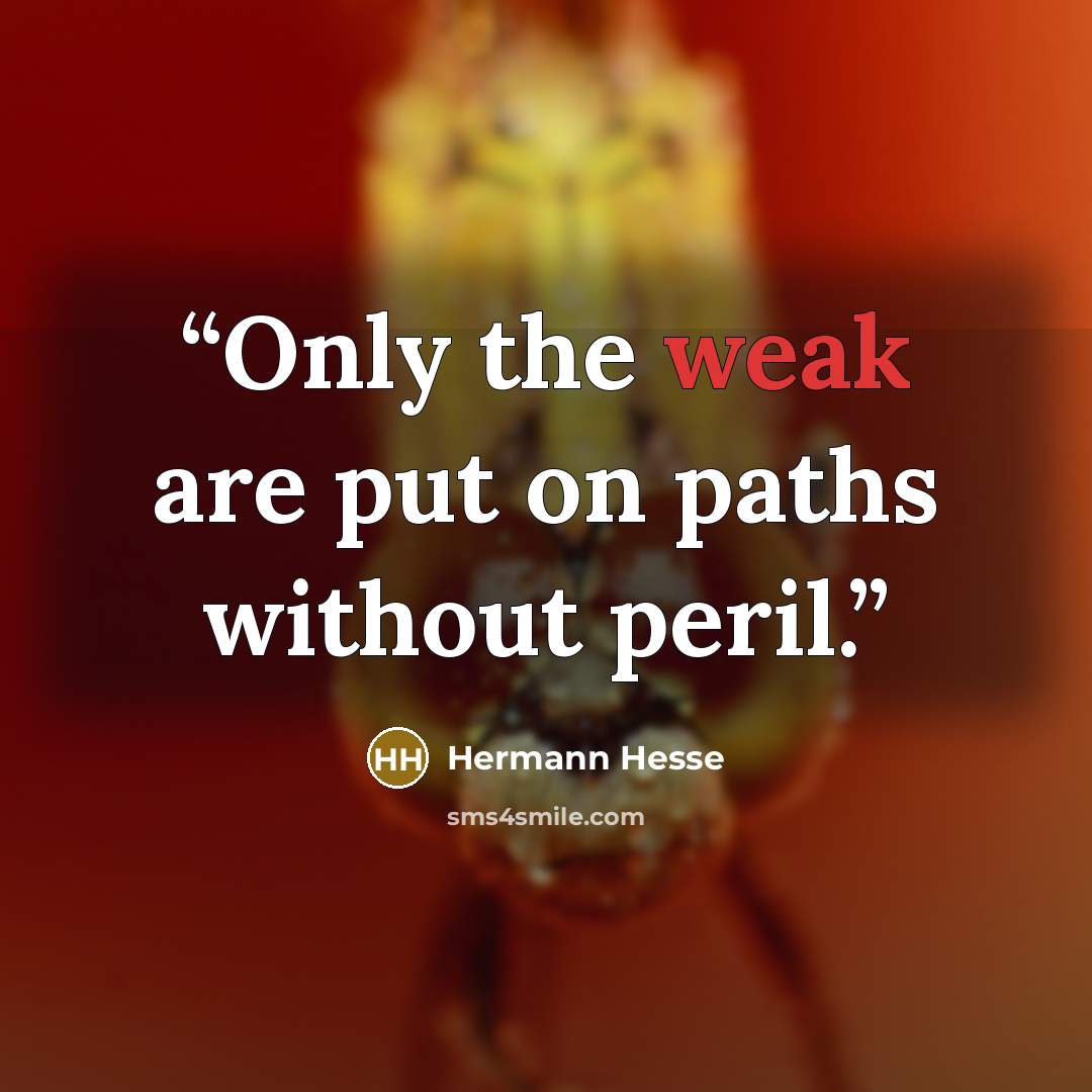 “Only the weak are put on paths without peril.” quote by Hermann Hesse