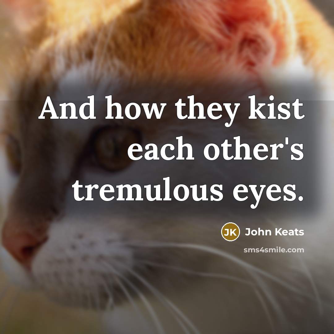 “And how they kist each other's tremulous eyes.…” quote by John Keats