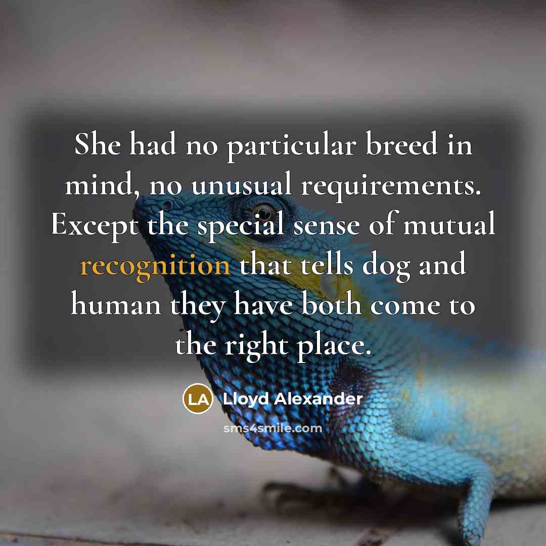 “She had no particular breed in mind, no unusual requirements. Except the special sense of mutual recognition that tells dog and human they have both come to the right place.” quote by Lloyd Alexander