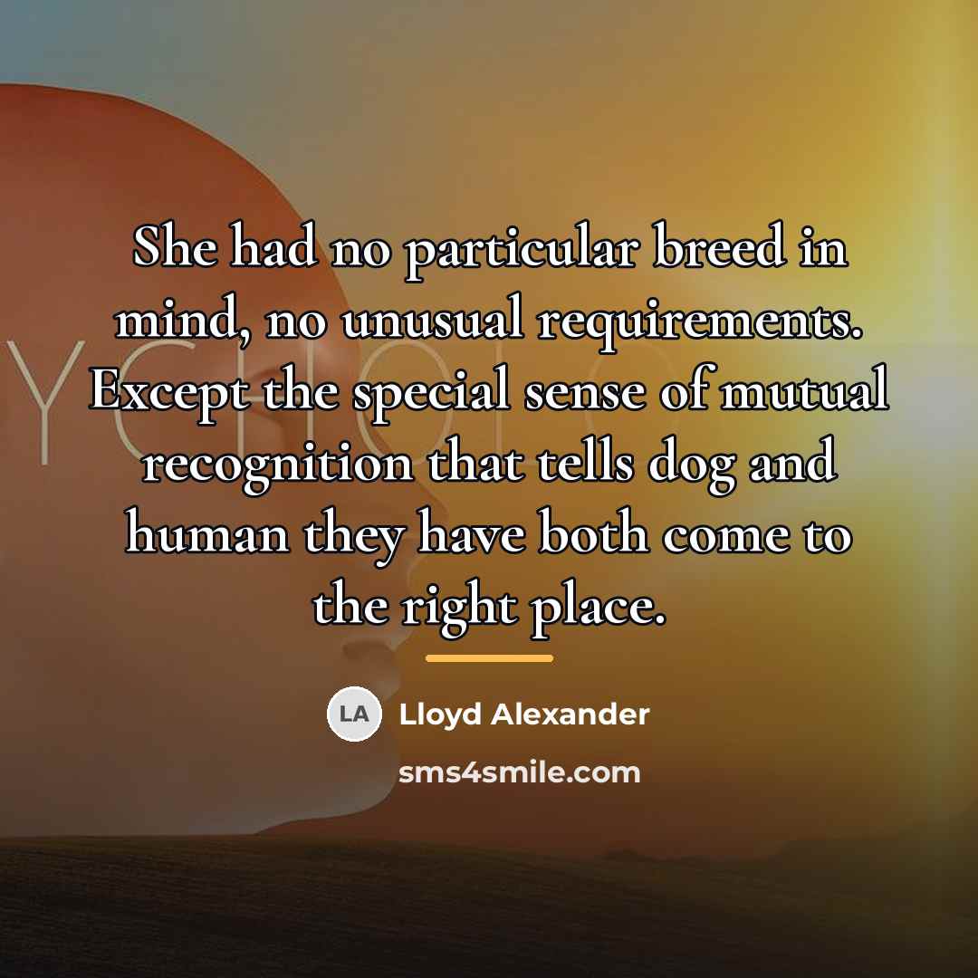 “She had no particular breed in mind, no unusual requirements.…” quote by Lloyd Alexander