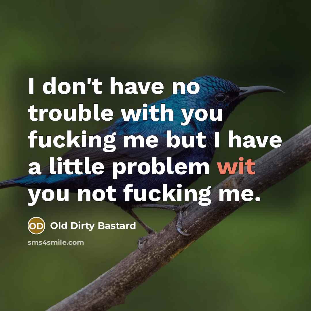 “I don't have no trouble with you fucking me but I have a little problem wit you not fucking me.” quote by Old Dirty Bastard