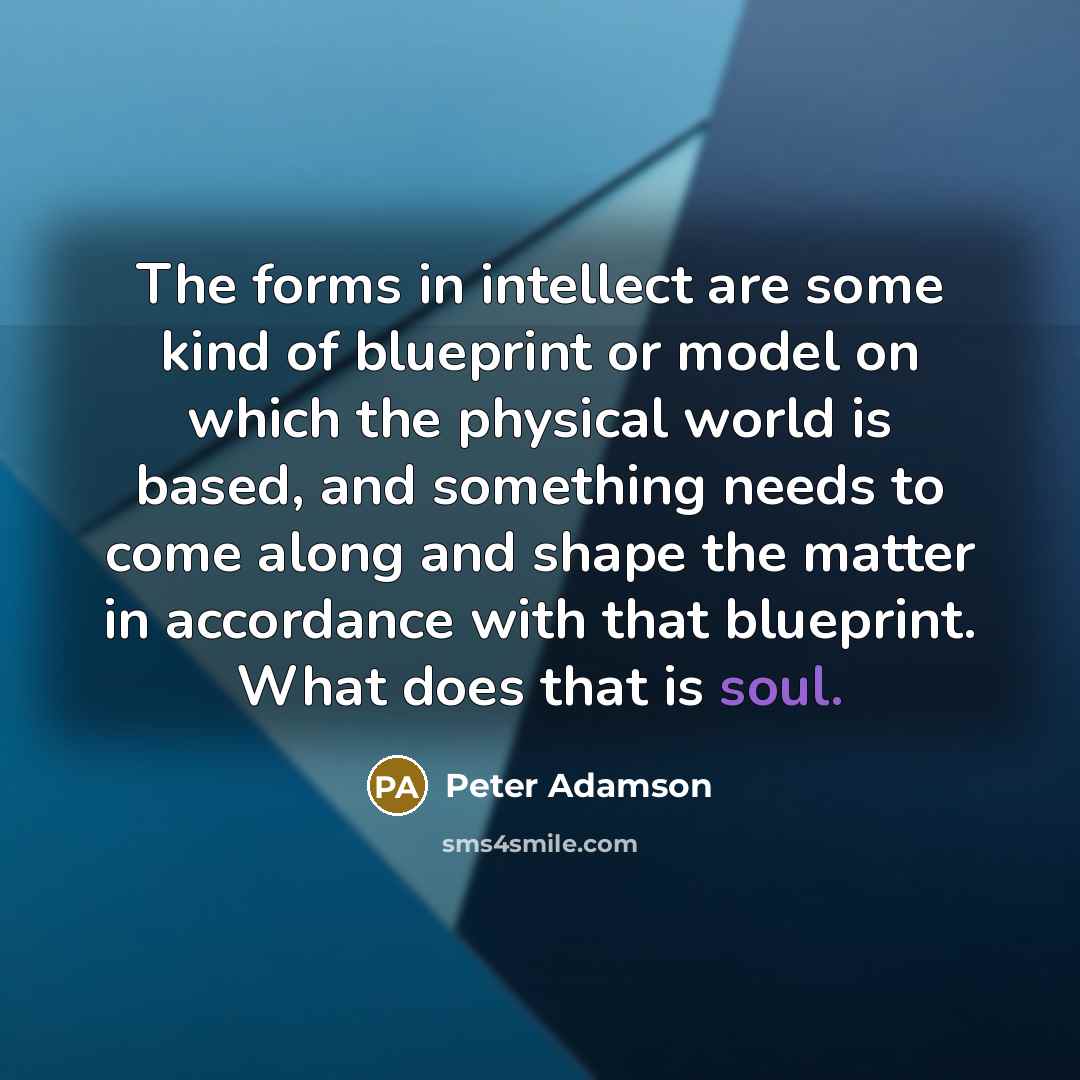 “The forms in intellect are some kind of blueprint or…” quote by Peter Adamson