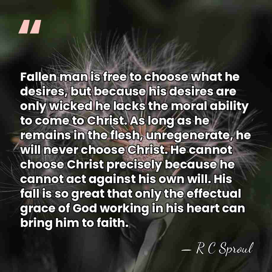 Fallen man is free to choose what he desires, but because his&hellip; - R C Sproul