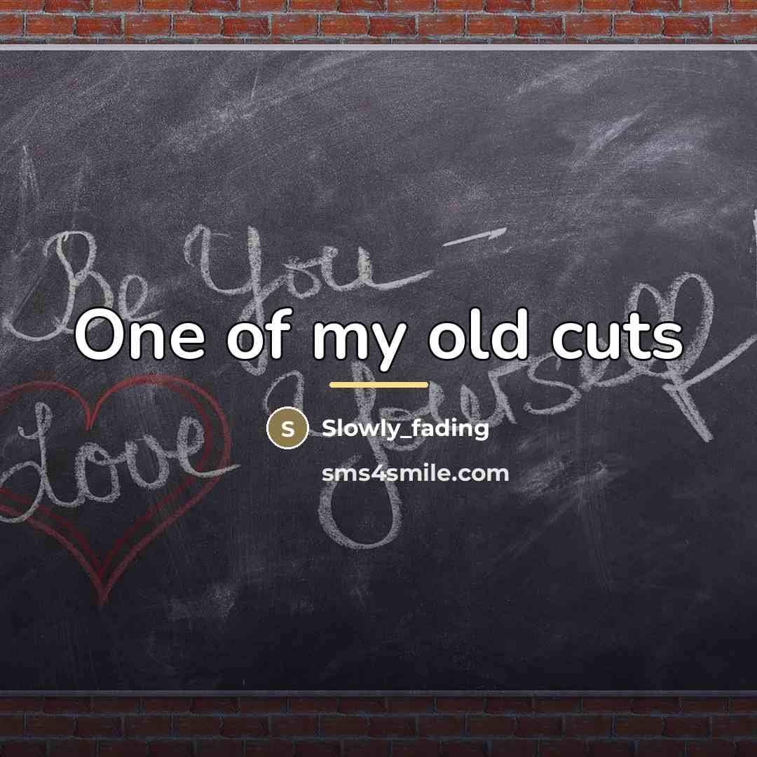 “One of my old cuts…” quote by Slowly_fading