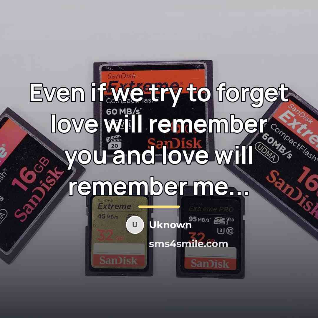 “Even if we try to forget love will remember you…” quote by Uknown