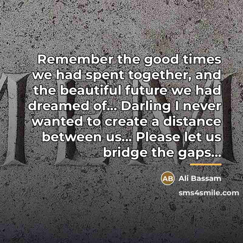 “Remember the good times we had spent together, and the…” quote by Ali Bassam