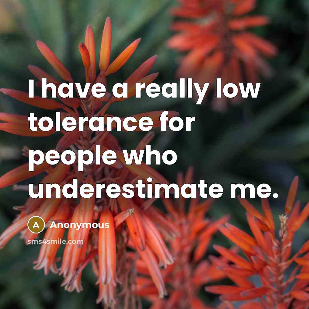 “I have a really low tolerance for people who underestimate me.” quote by Anonymous