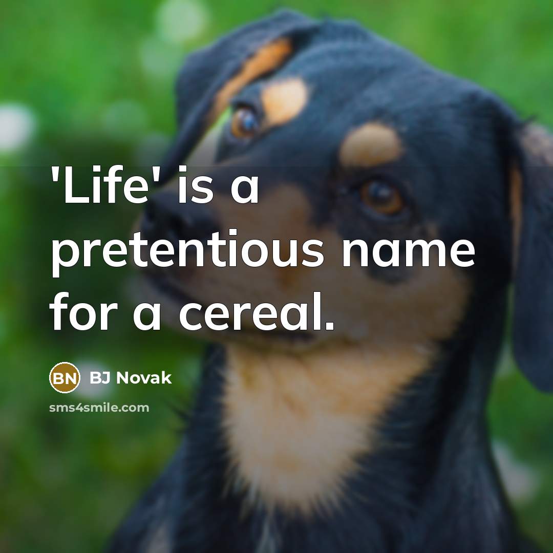 “'Life' is a pretentious name for a cereal.…” quote by BJ Novak