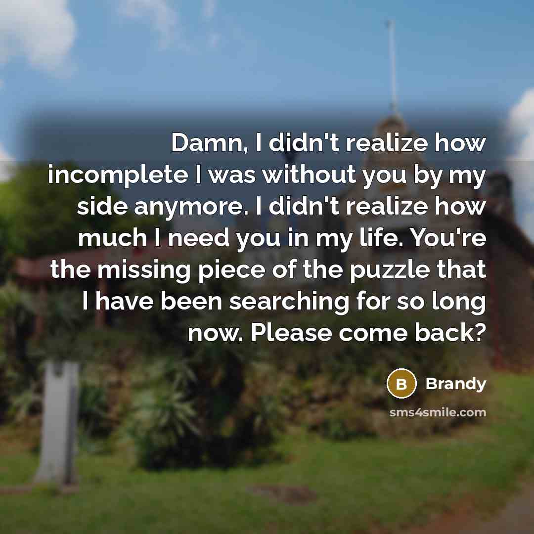 “Damn, I didn't realize how incomplete I was without you by my side anymore. I didn't realize how much I need you in my life. You're the missing piece of the puzzle that I have been searching for so long now. Please come back?” quote by Brandy