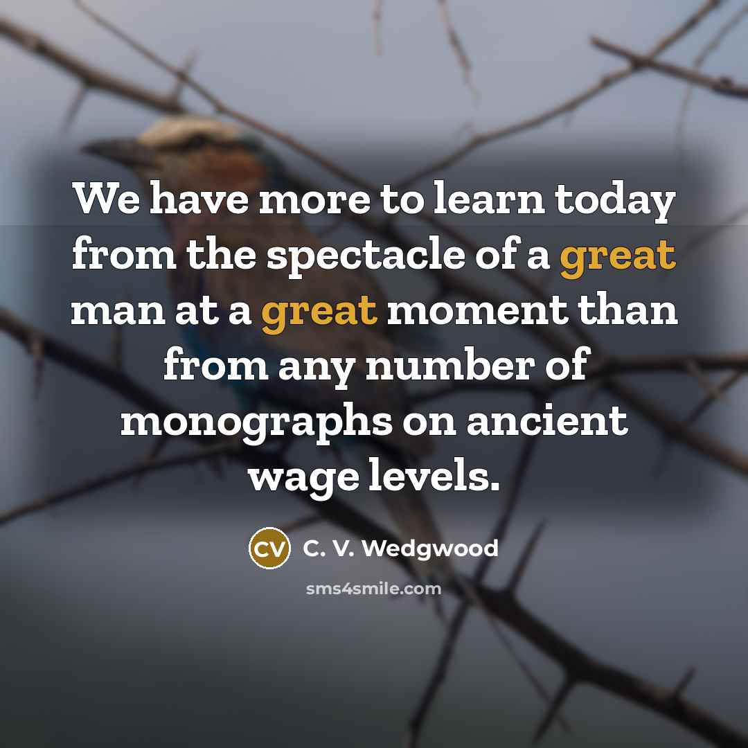“We have more to learn today from the spectacle of…” quote by C. V. Wedgwood