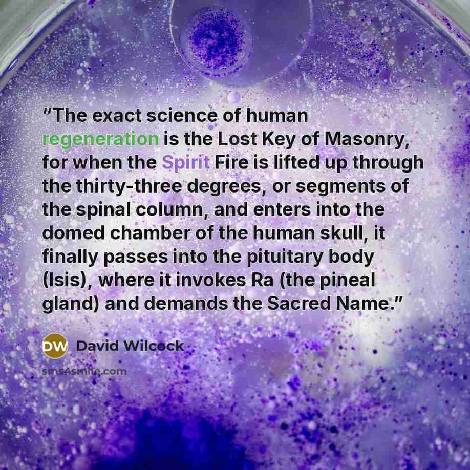 “The exact science of human regeneration is the Lost Key of Masonry, for when the Spirit Fire is lifted up through the thirty-three degrees, or segments of the spinal column, and enters into the domed chamber of the human skull, it finally passes into the pituitary body (Isis), where it invokes Ra…” quote by David Wilcock