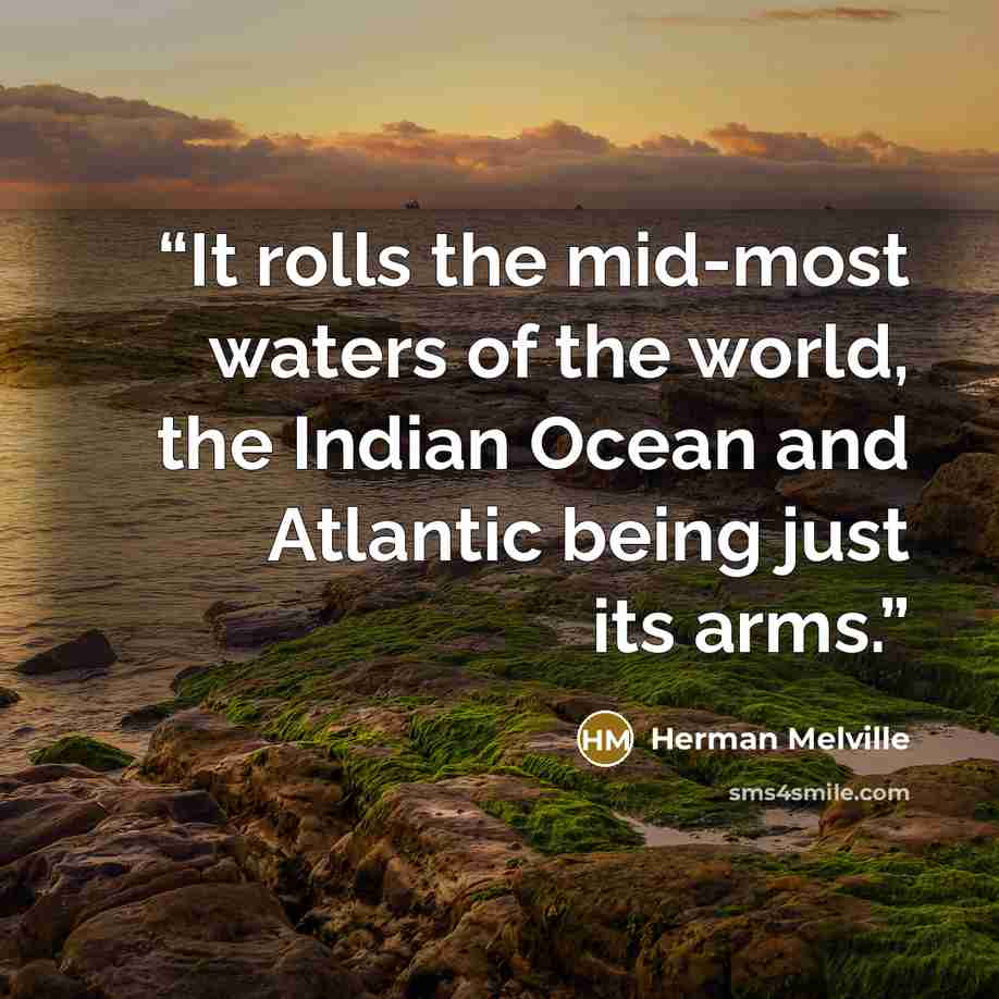 “It rolls the mid-most waters of the world, the Indian Ocean and Atlantic being just its arms.” quote by Herman Melville